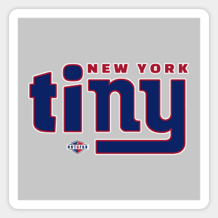 New York Tiny Magnet